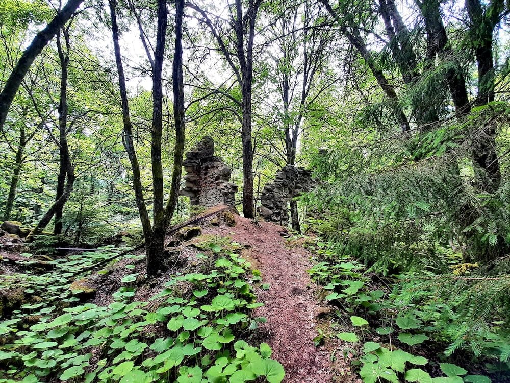 Ruins of an abandoned stone house surrounded by lush green moss and forest trees at the lost settlement of Scheureck along the Bavarian-Czech borderlands