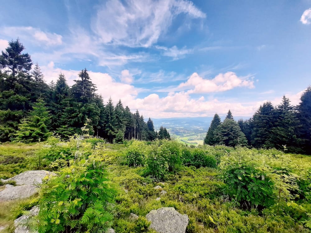 Panoramic view from Mount Pröller overlooking the forested hills and valleys of the Bavarian Forest near Sankt Englmar