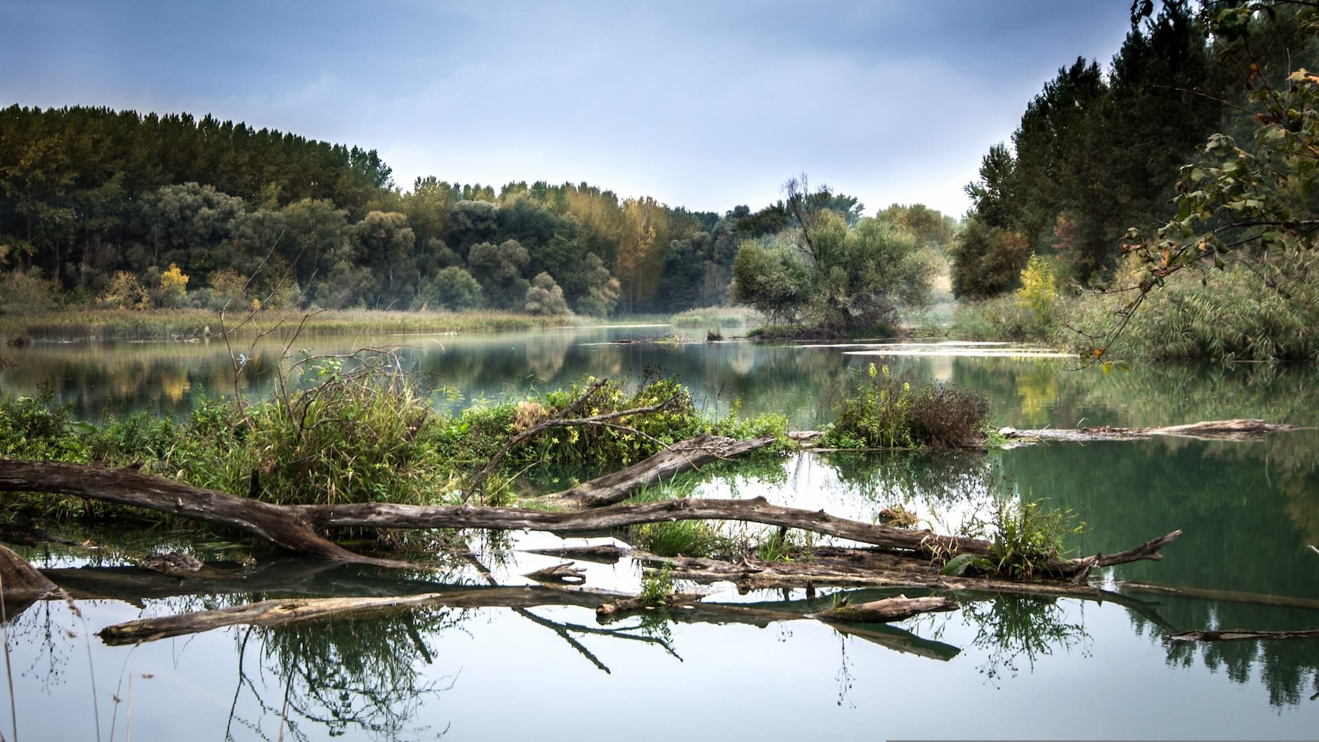 danube-river-upper-austria danube-river-upper-austria