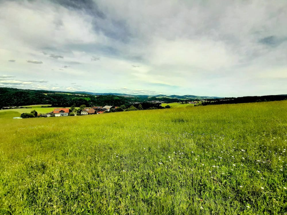 sauwald-forested-plateau-upper-austria A wide panoramic view of a lush meadow field on an upland plateau, with rural houses nestled against a dense line of dark green forests under an overcast sky