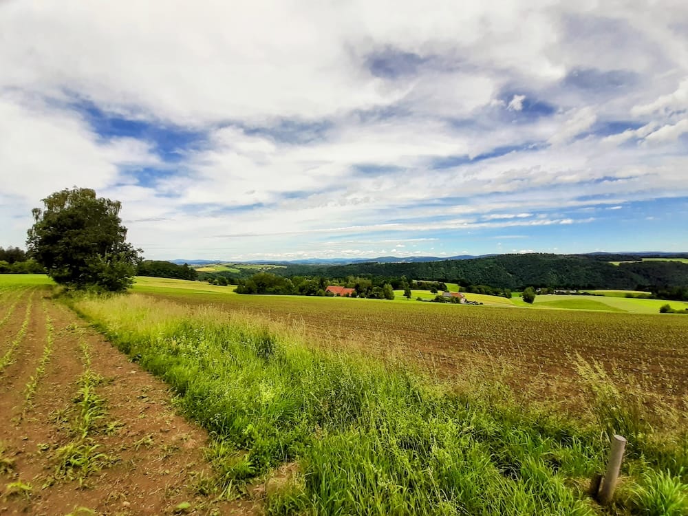 upper-danube-valley-countryside-austria Rolling agricultural fields and farmlands sloping down toward a dense, deep green river valley in the Upper Danube region of northwestern Austria