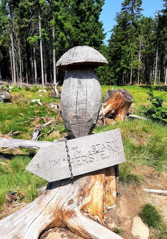 A rustic wooden trail sign shaped like an arrow pointing left, mounted on a large tree stump beneath a large carved wooden mushroom sculpture. The sign reads "1.4 KM Starý Herštejn" with a tiny castle icon, set against a sunny clearing and a dense green pine forest.